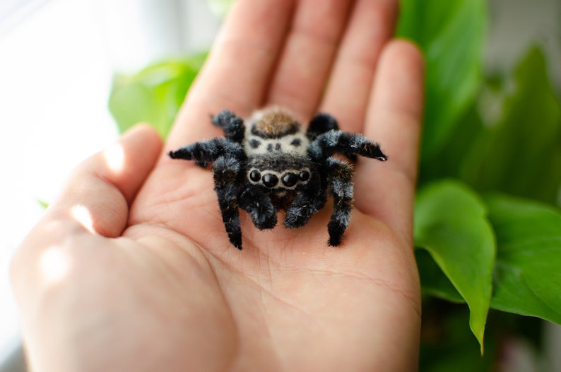 Cute jumping spider toy, creepy gift, poseable sculpture, needle felted doll, black spider arachnida, cute kawaii monster, made to order image 7