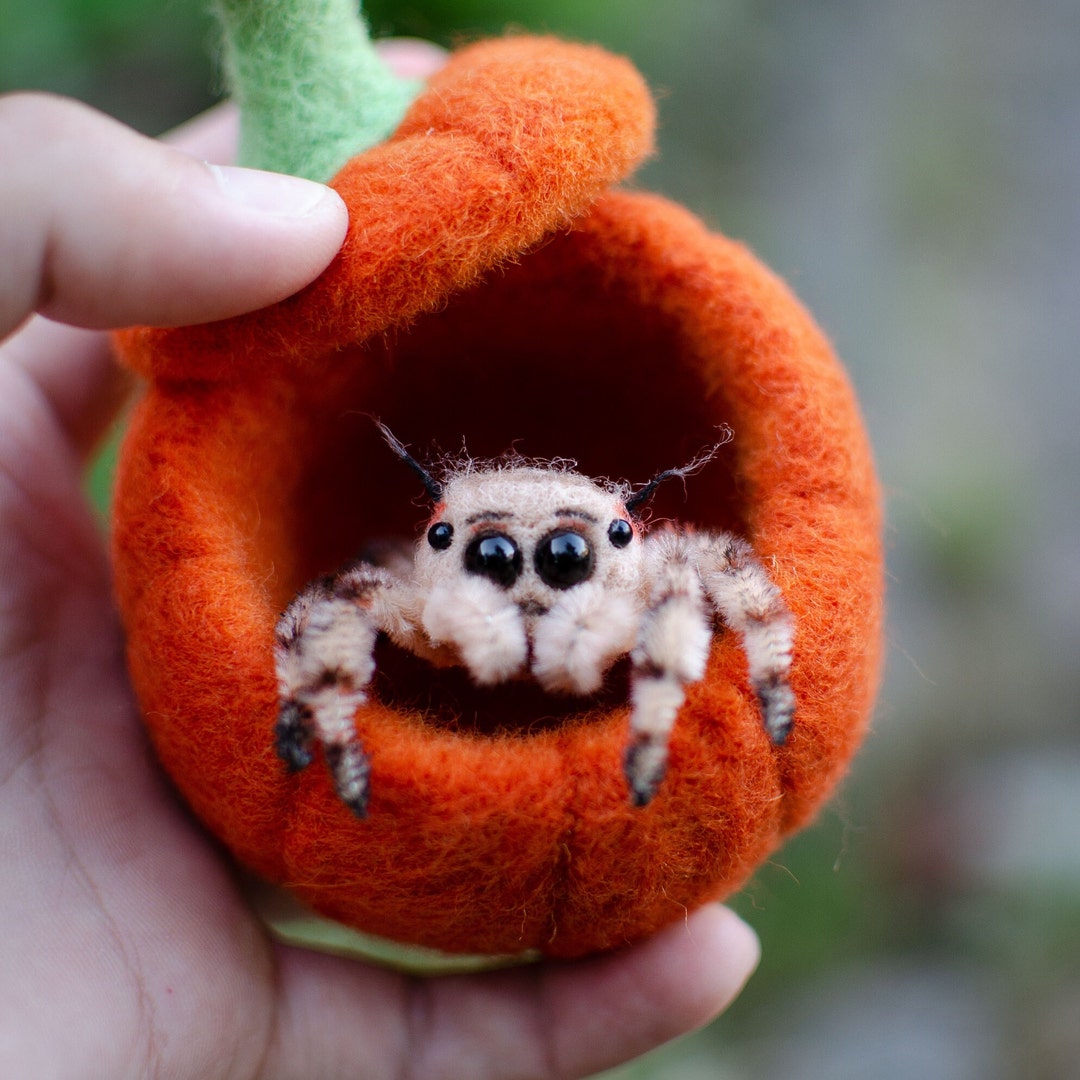 Needle Felted Jumping Spider Sculpture, Pumpkin Home, Kawaii