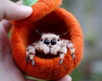 Needle Felted Jumping Spider Sculpture, Pumpkin Home, Kawaii