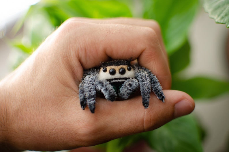 May include: A close-up of a plush toy jumping spider with black and white fur and large black eyes. The spider is being held in a person's hand.