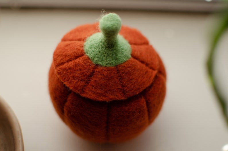 May include: A small, orange felt pumpkin with a green felt stem. The pumpkin has a textured surface and is perfect for holding small items.