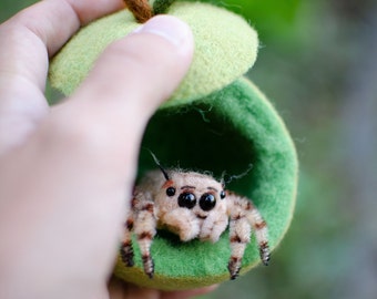 Baby jumping spider toy, green apple home, creepy gift, poseable sculpture, needle felted doll,arachnida, cute kawaii monster, made to order