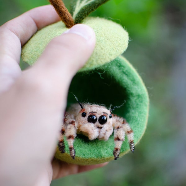 Baby jumping spider toy, green apple home, creepy gift, poseable sculpture, needle felted doll,arachnida, cute kawaii monster, made to order