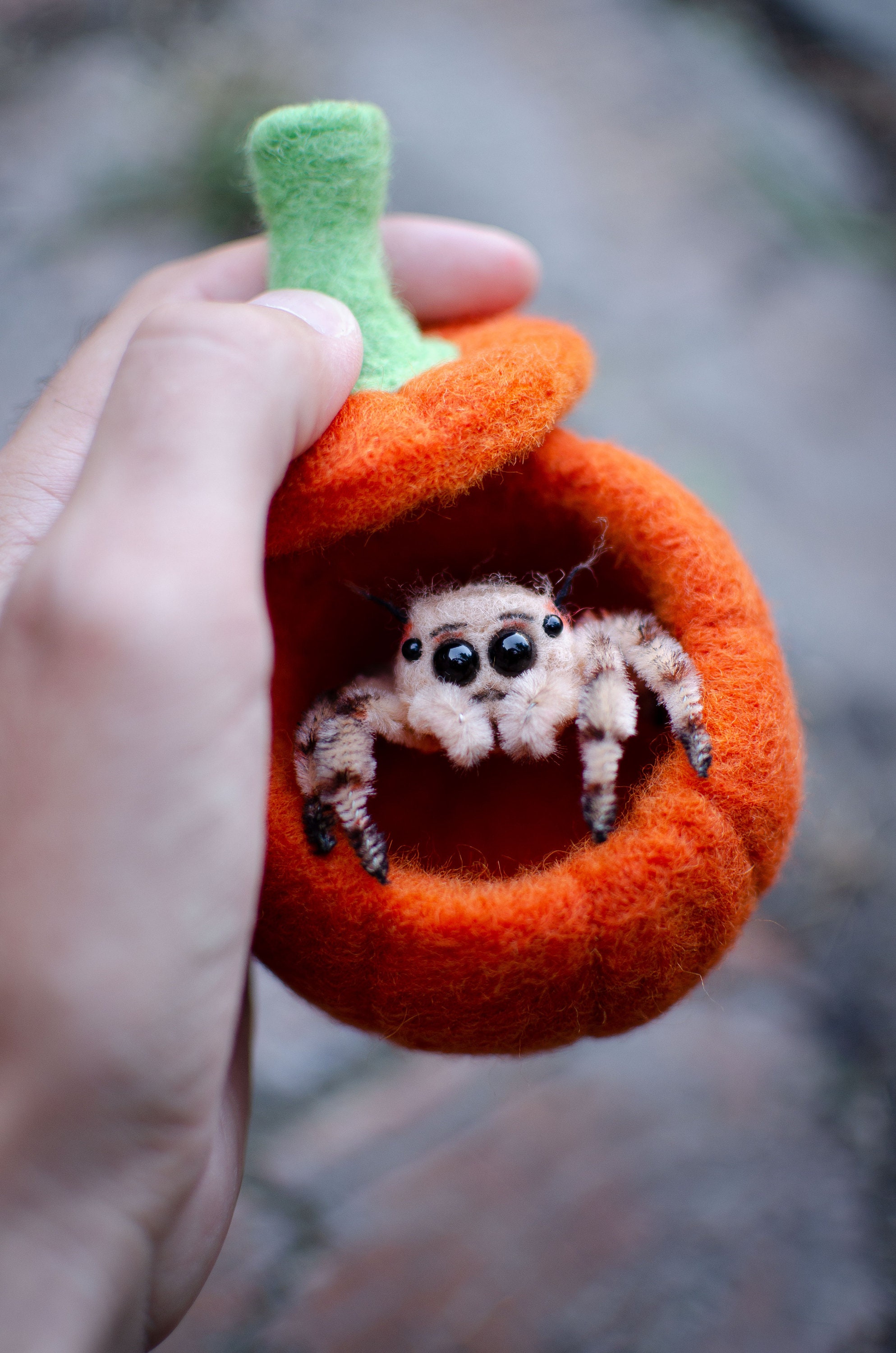 Needle Felted Jumping Spider Sculpture, Pumpkin Home, Kawaii