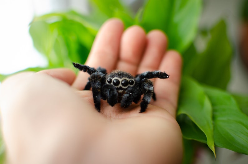 Cute jumping spider toy, creepy gift, poseable sculpture, needle felted doll, black spider arachnida, cute kawaii monster, made to order image 6