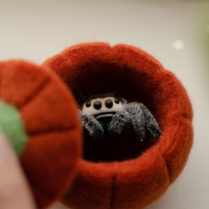 May include: A small, fuzzy, orange felt pumpkin with a green stem. The pumpkin is open and a small, black and white spider is inside.