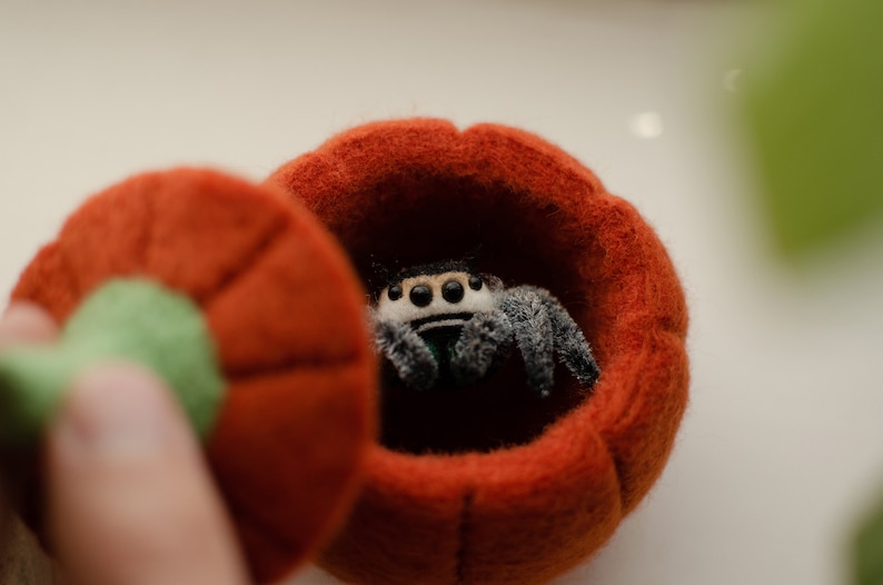 May include: A small, fuzzy, orange felt pumpkin with a green stem. The pumpkin is open and a small, black and white spider is inside.