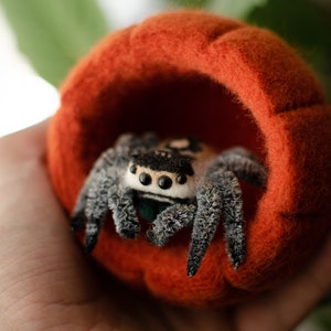 May include: A small, black and white spider toy with large eyes sits inside a felt pumpkin-shaped bed. The bed is orange and has a small opening at the top.