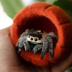 Cute jumping spider toy, creepy gift, poseable sculpture, needle felted doll, black spider arachnida, cute kawaii monster, made to order image 8