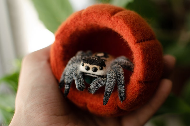 May include: A small, black and white spider toy with large eyes sits inside a felt pumpkin-shaped bed. The bed is orange and has a small opening at the top.