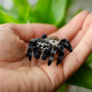 Cute jumping spider toy, creepy gift, poseable sculpture, needle felted doll, black spider arachnida, cute kawaii monster, made to order image 4