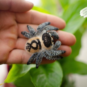 Needle Felted Jumping Spider Sculpture, Poseable Arachnid Toy image 5