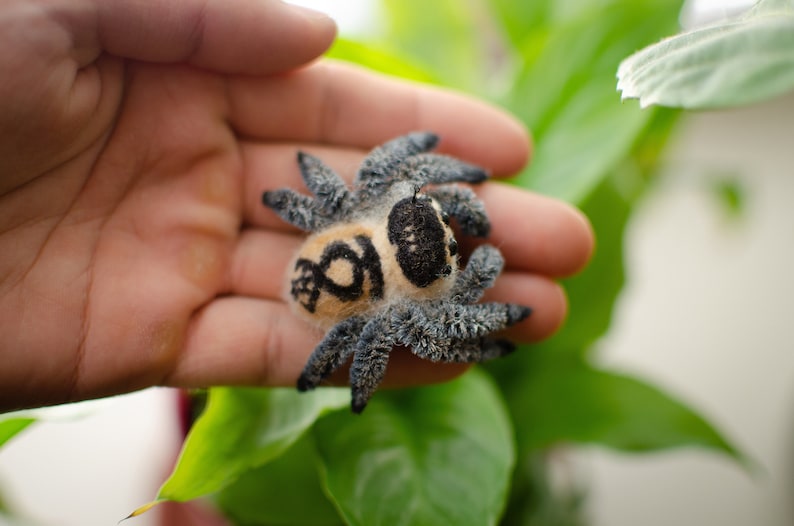 Needle Felted Jumping Spider Sculpture, Poseable Arachnid Toy image 5