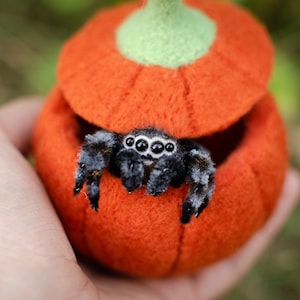 Cute jumping spider toy, creepy gift, poseable sculpture, needle felted doll, black spider arachnida, cute kawaii monster, made to order image 8