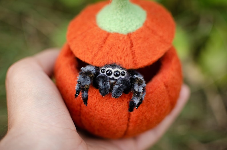 Cute jumping spider toy, creepy gift, poseable sculpture, needle felted doll, black spider arachnida, cute kawaii monster, made to order image 8