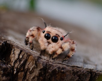 Baby jumping spider toy, creepy gift, poseable sculpture, needle felted doll, black spider arachnida, cute kawaii monster, made to order