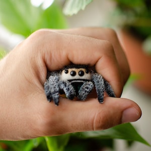 Cute jumping spider toy, creepy gift, poseable sculpture, needle felted doll, black spider arachnida, cute kawaii monster, made to order image 2