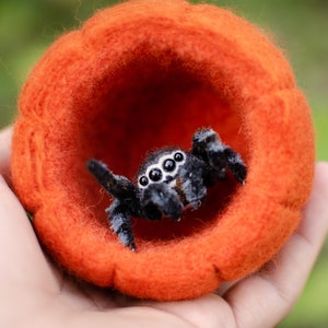 Cute jumping spider toy, creepy gift, poseable sculpture, needle felted doll, black spider arachnida, cute kawaii monster, made to order image 10