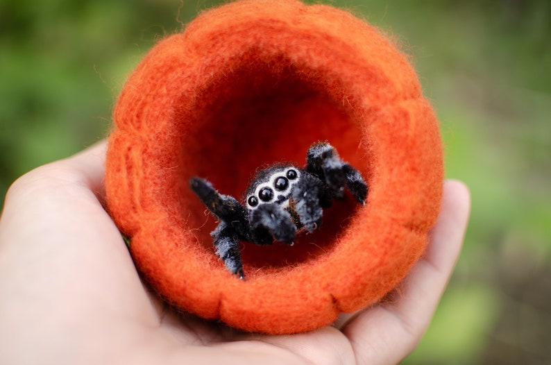 Cute jumping spider toy, creepy gift, poseable sculpture, needle felted doll, black spider arachnida, cute kawaii monster, made to order image 10