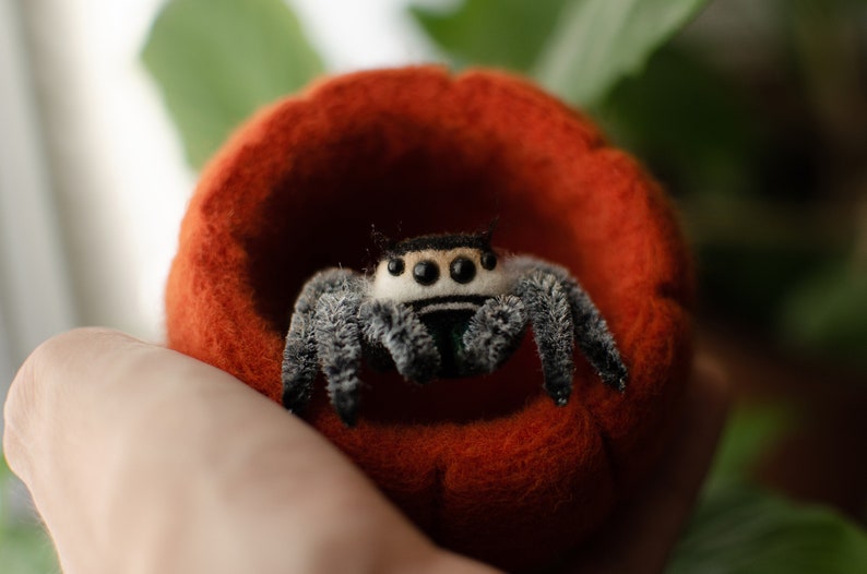 Cute jumping spider toy, creepy gift, poseable sculpture, needle felted doll, black spider arachnida, cute kawaii monster, made to order image 10