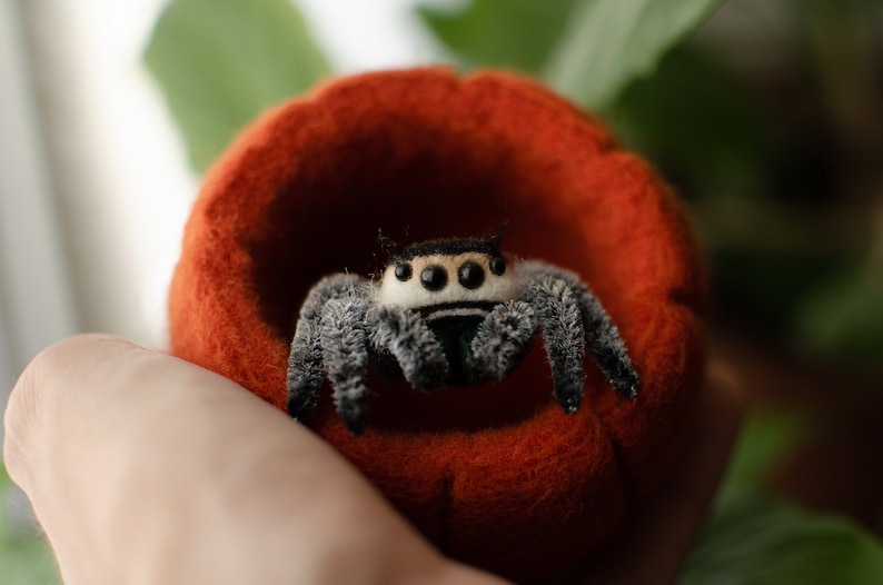 May include: A small, black and white jumping spider with large eyes sits in a red felt pumpkin. The spider is made of felt and has a fuzzy texture.