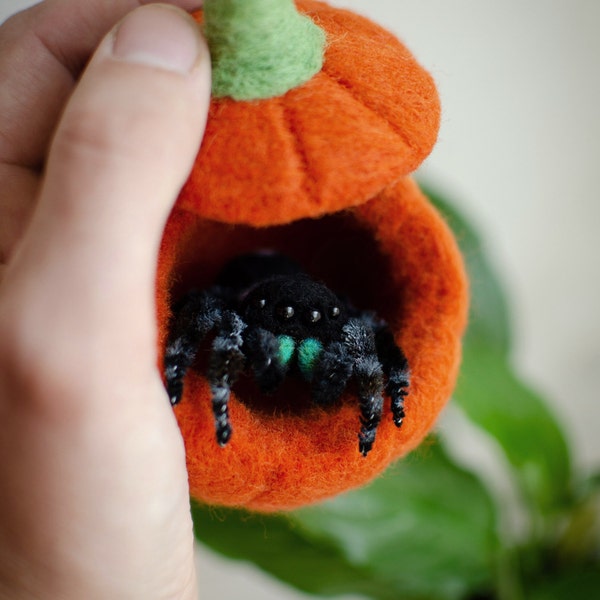 Black jumping spider toy, creepy gift, poseable sculpture, needle felted doll, black spider arachnida, cute kawaii monster, made to order