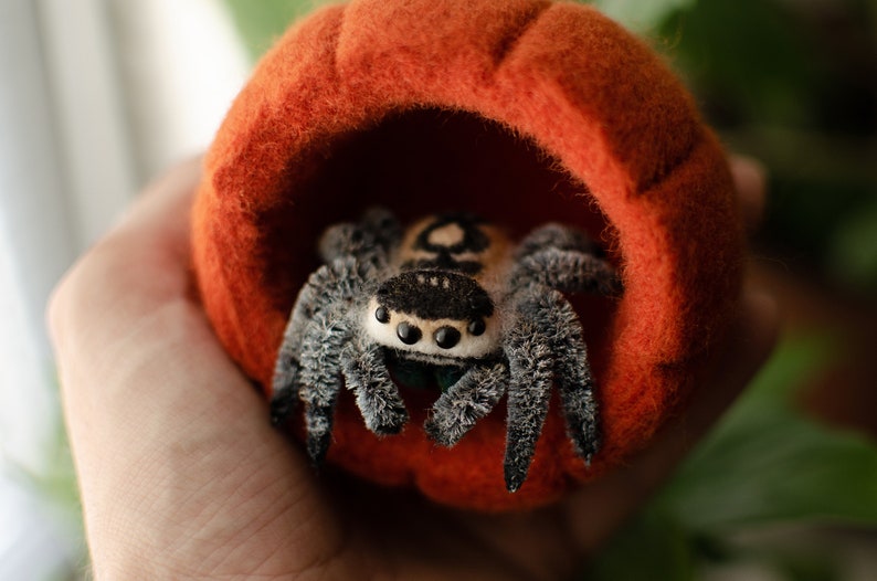 May include: A plush toy spider with black and white markings sits inside a felt pumpkin-shaped bed. The spider has large, black eyes and fuzzy legs.