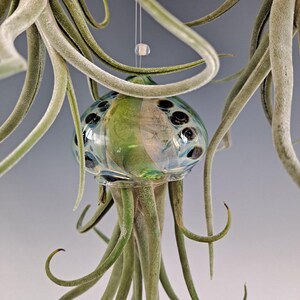 Colgador de plantas de aire con forma de medusa voladora y soporte para plantas de aire con forma de pulpo Light Green/ Dark Green