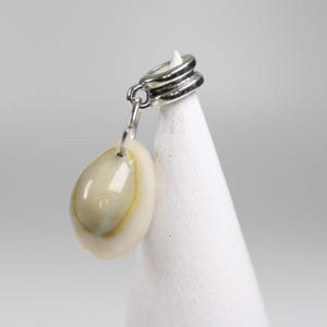 May include: A single earring featuring a natural, cream-colored seashell pendant with a silver-tone metal loop and chain. The shell has a subtle yellow-brown accent. The earring is displayed on a white, cone-shaped object.