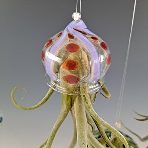 Colgador de plantas de aire con forma de medusa voladora y soporte para plantas de aire con forma de pulpo Red/ Purple