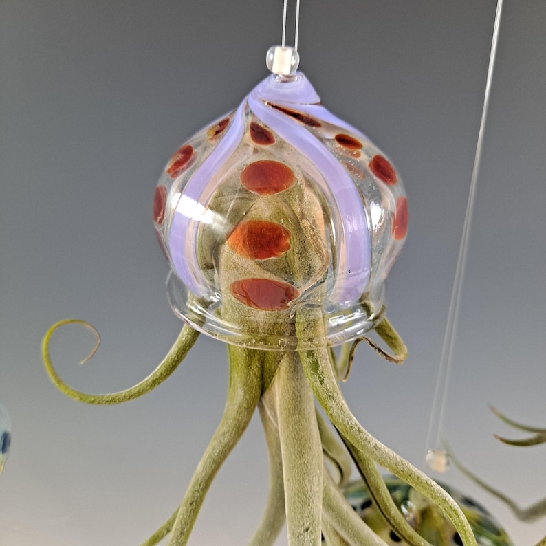 Colgador de plantas de aire con forma de medusa voladora y soporte para plantas de aire con forma de pulpo Red/ Purple