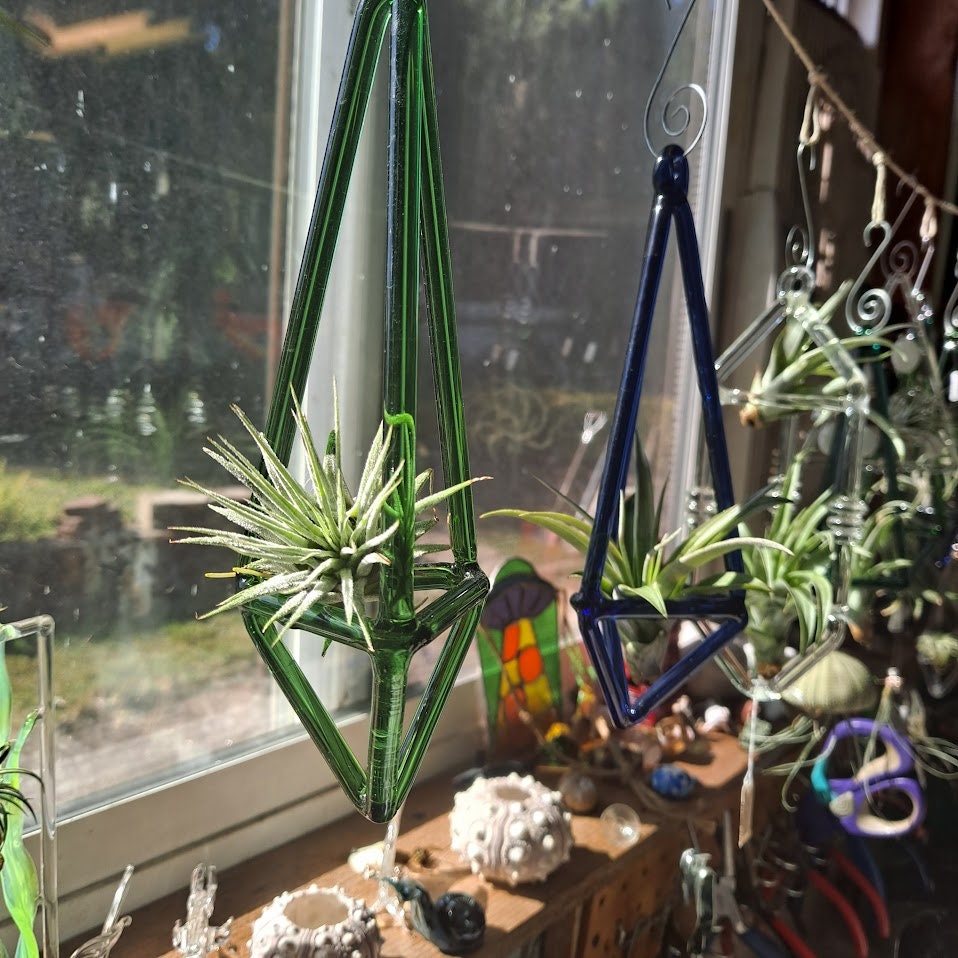 Colored Glass Air Plant Holder Air Plant Holder Desk Air Etsy