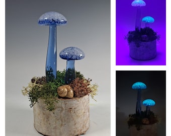 Sculture di funghi, funghi che si illuminano al buio