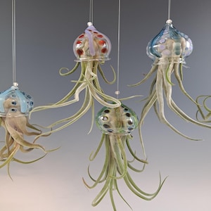 Colgador de plantas de aire con forma de medusa voladora y soporte para plantas de aire con forma de pulpo Artist Choice