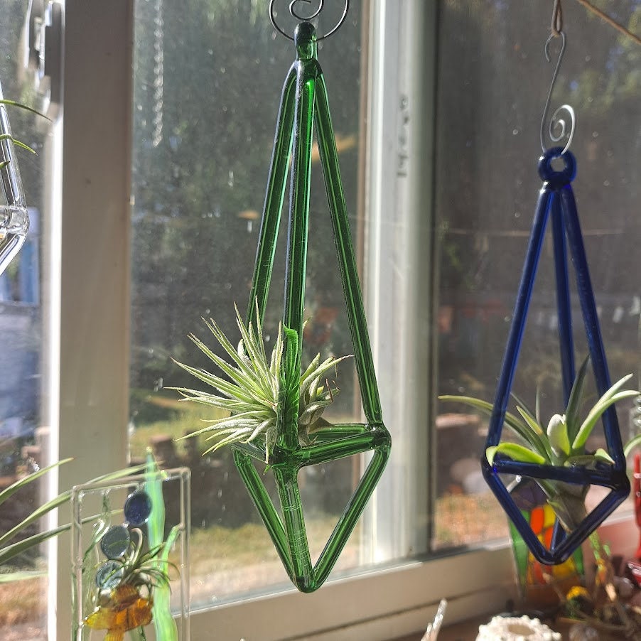 Colored Glass Air Plant Holder Air Plant Holder Desk Air Etsy