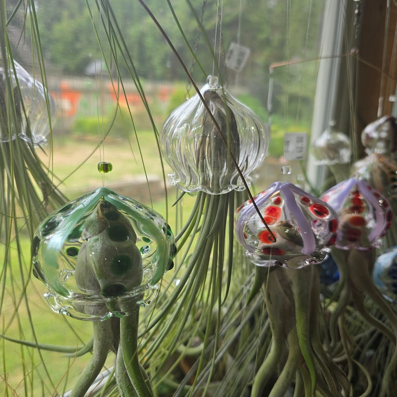 Colgador de plantas de aire con forma de medusa voladora y soporte para plantas de aire con forma de pulpo imagen 3