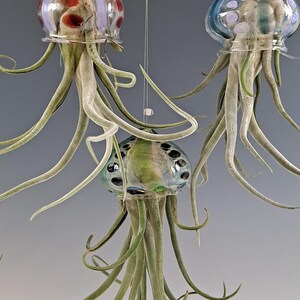 Colgador de plantas de aire con forma de medusa voladora y soporte para plantas de aire con forma de pulpo imagen 4