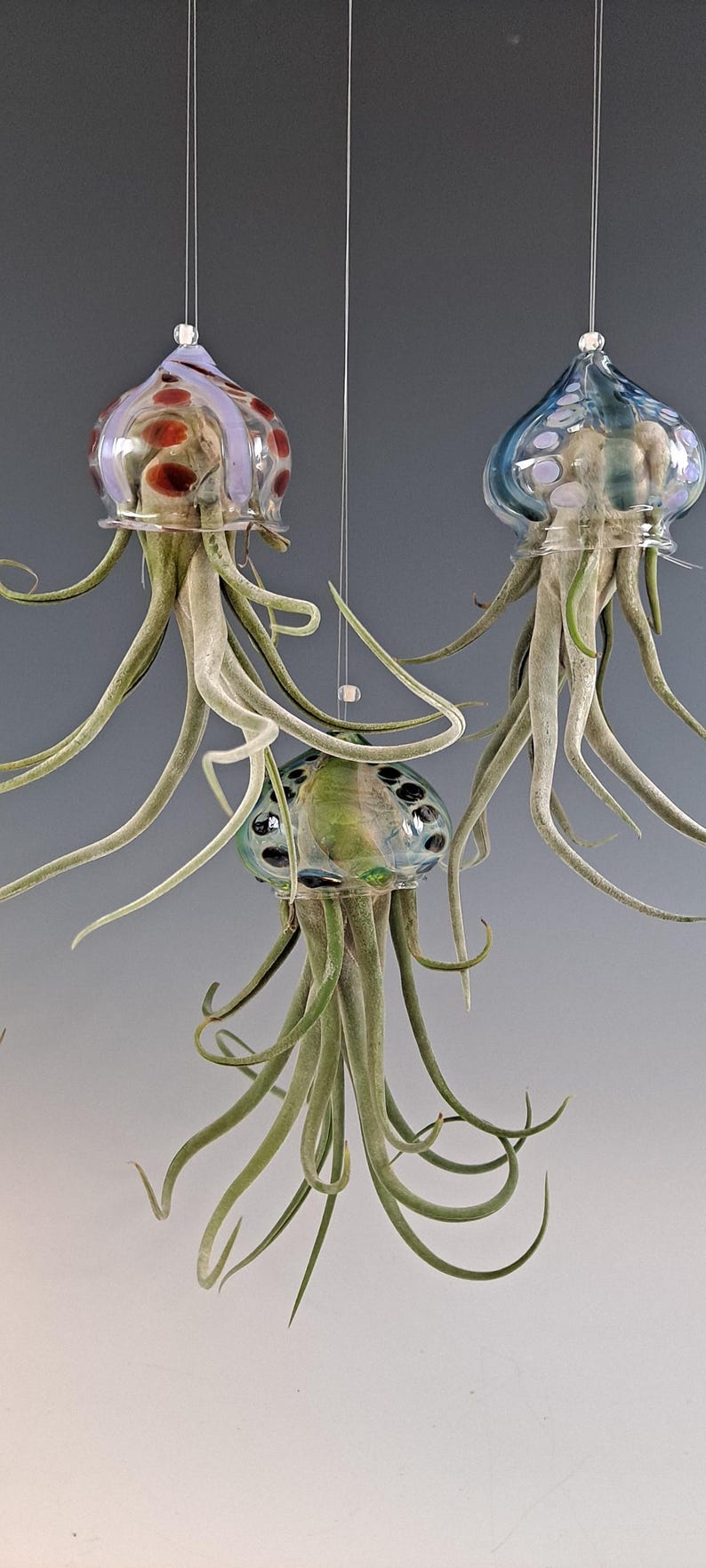 Colgador de plantas de aire con forma de medusa voladora y soporte para plantas de aire con forma de pulpo imagen 4