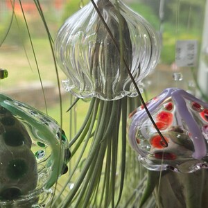 Colgador de plantas de aire con forma de medusa voladora y soporte para plantas de aire con forma de pulpo Red/ Orange