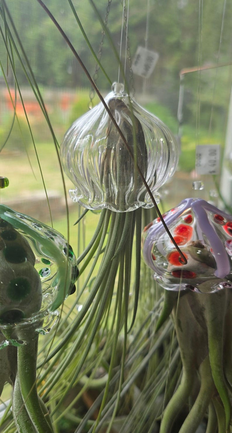 Colgador de plantas de aire con forma de medusa voladora y soporte para plantas de aire con forma de pulpo Red/ Orange