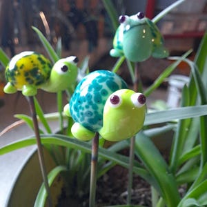 Turtle Plant Pals, House plant and Fairy Garden Decor