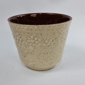 Op de afbeelding: Een witte keramische plantenpot met een bruine rand en een getextureerd oppervlak. De pot heeft een reliëfdesign van kleine cirkels en lijnen.