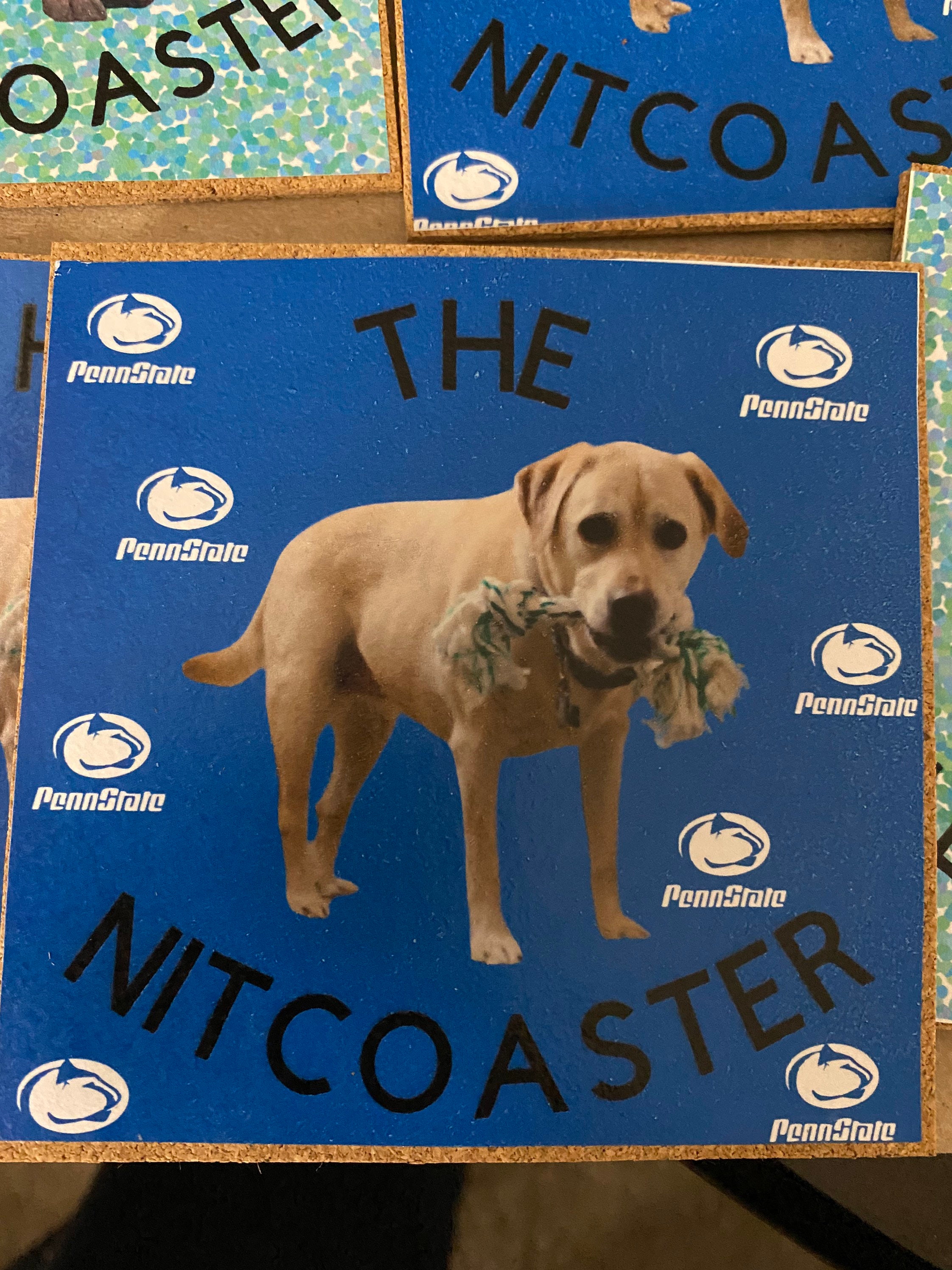 dog-mom-gifts-pet-mom-gifts-custom-dog-coasters-photo-etsy
