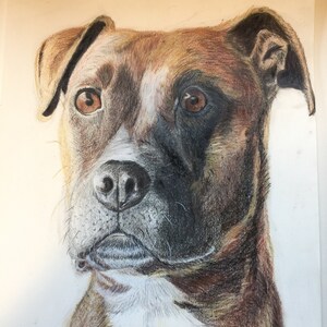 Pet Portraits in Pencil and Charcoal; gifts for dog lovers; custom pet portraits; unique portraits for dog lovers; portraits for cat lovers