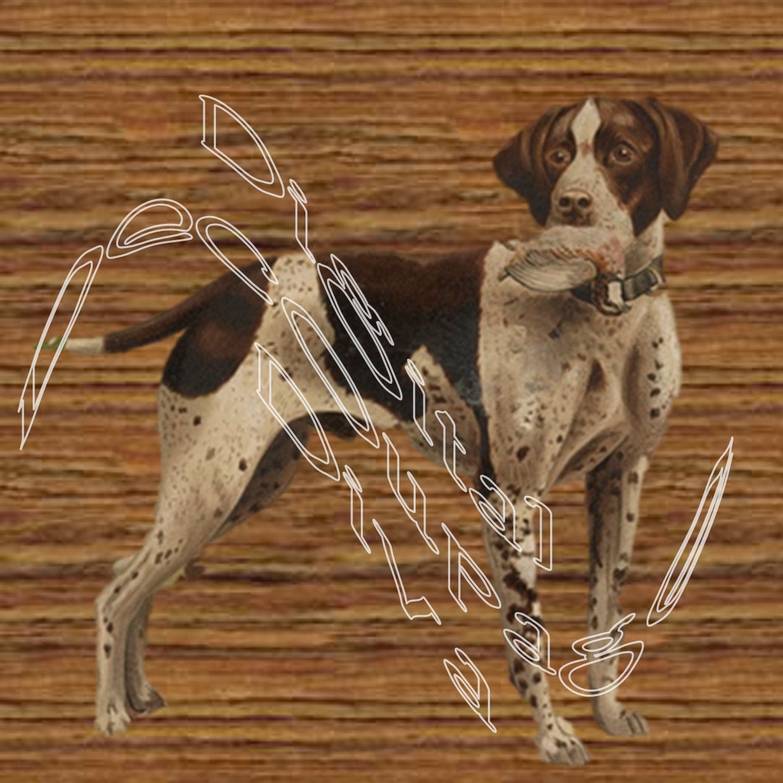 Bird Dog with Catch Clip Art Digital File IMMEDIATE Etsy