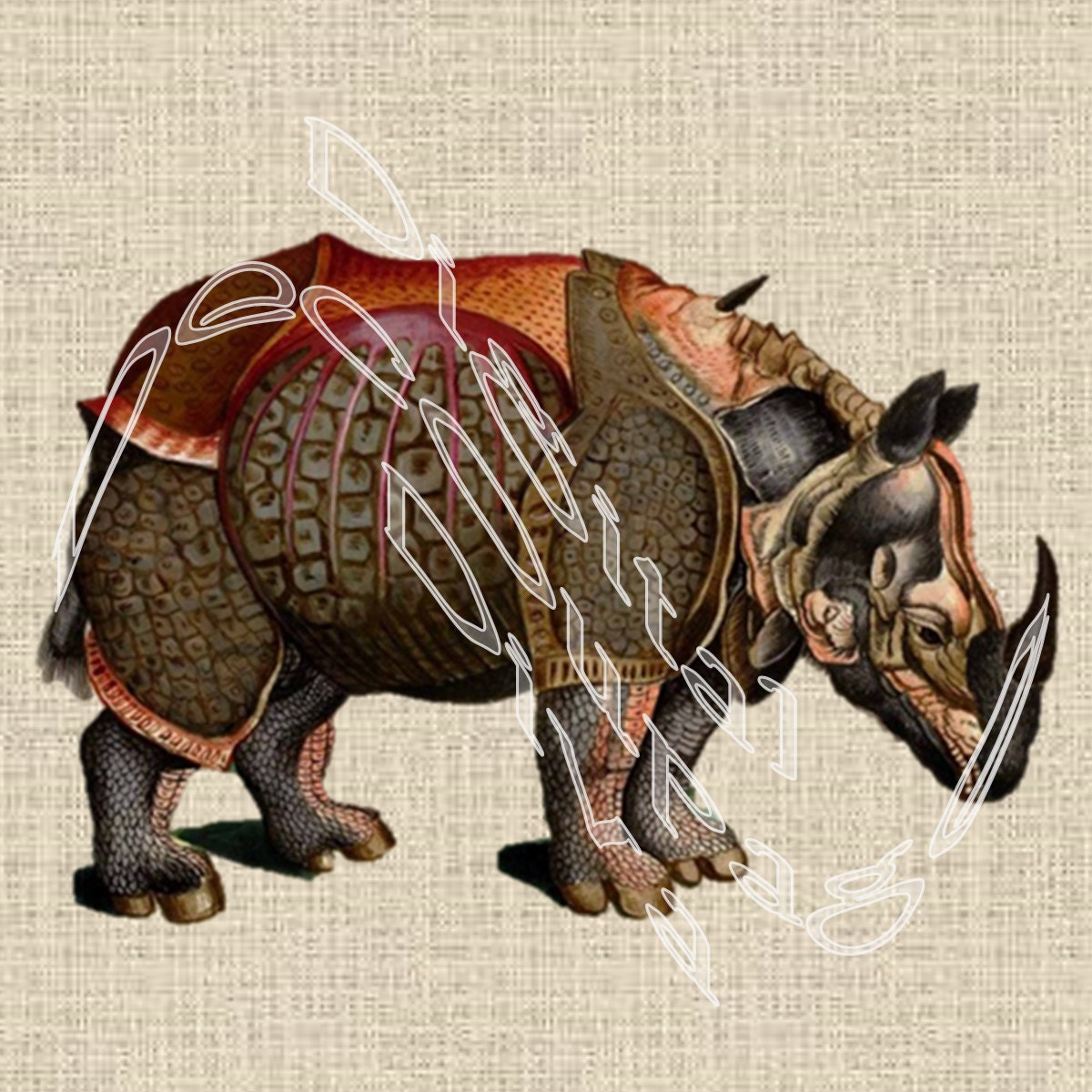 rhinoceros 5 full rhinoceros 5 full