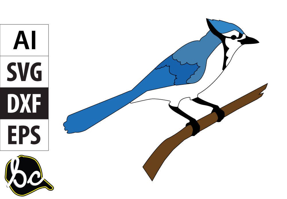 Blue Jay SVG Cut File Etsy