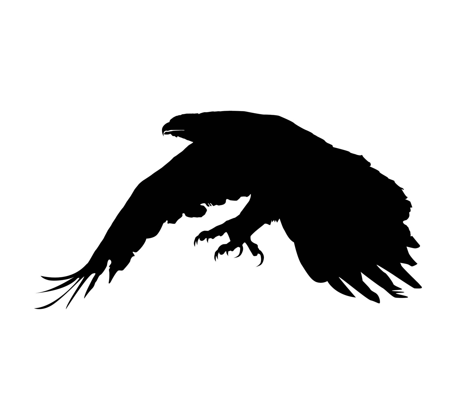 Hawk SVG Cut File - Etsy