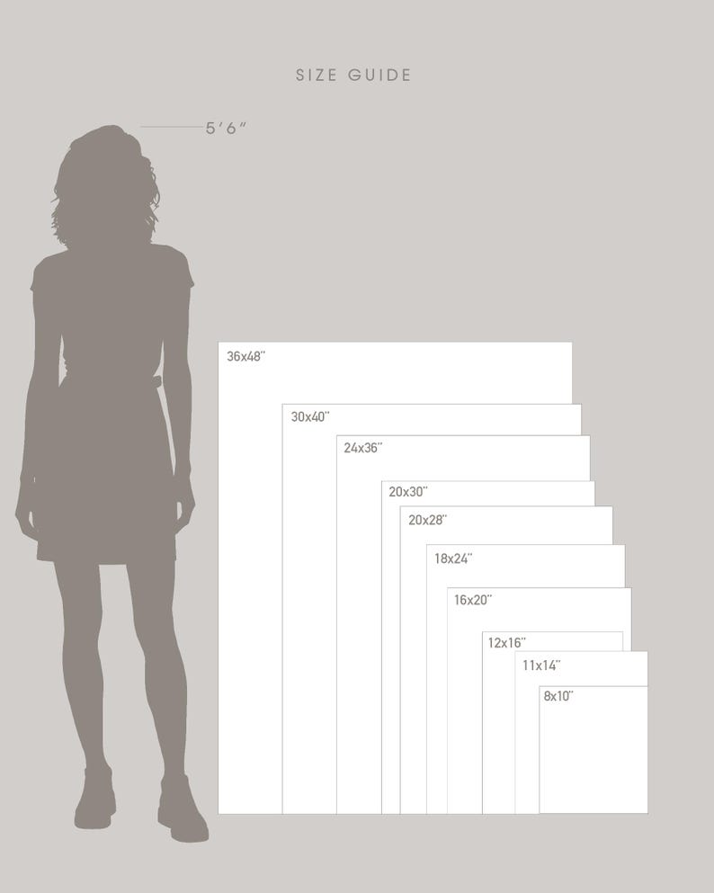 The image is a size guide that provides the dimensions of various photo sizes, ranging from 5" to 8" in height.