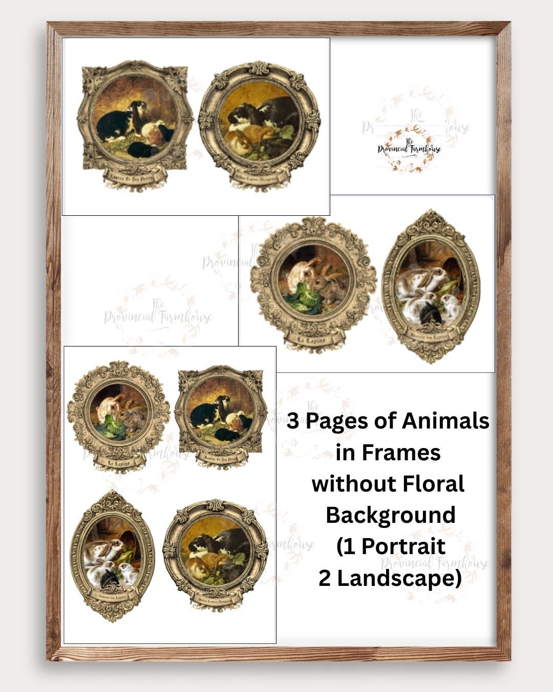 Storefront Frame Rabbit Vintage Framed Rabbits & Florals Printables | Cottage Style Digital ...